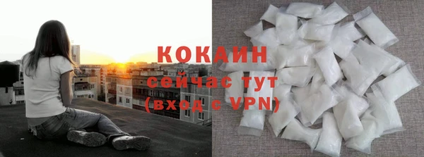 СК Алексин