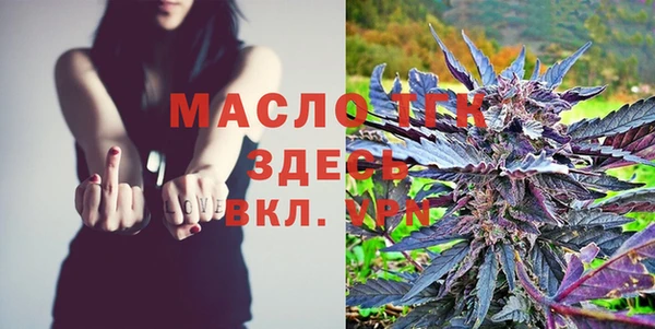 гидра Алексеевка