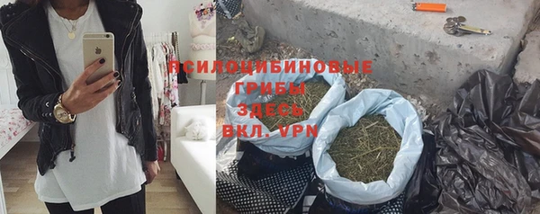 гидра Алексеевка