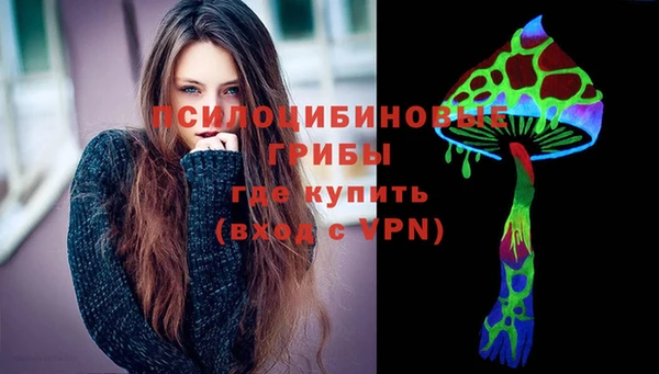 СК Алексин