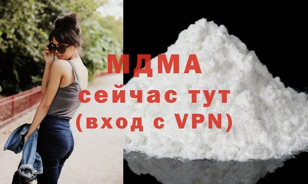 СК Алексин