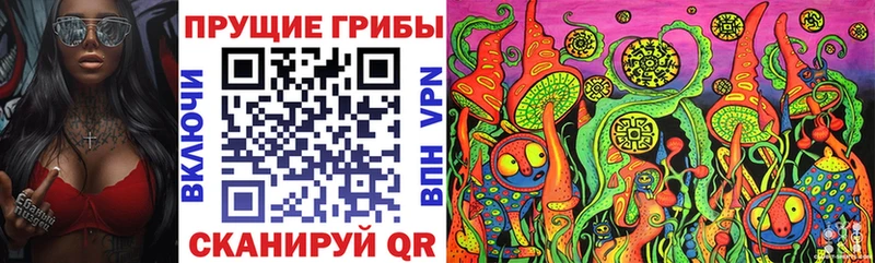 хочу   Наволоки  Галлюциногенные грибы Cubensis 